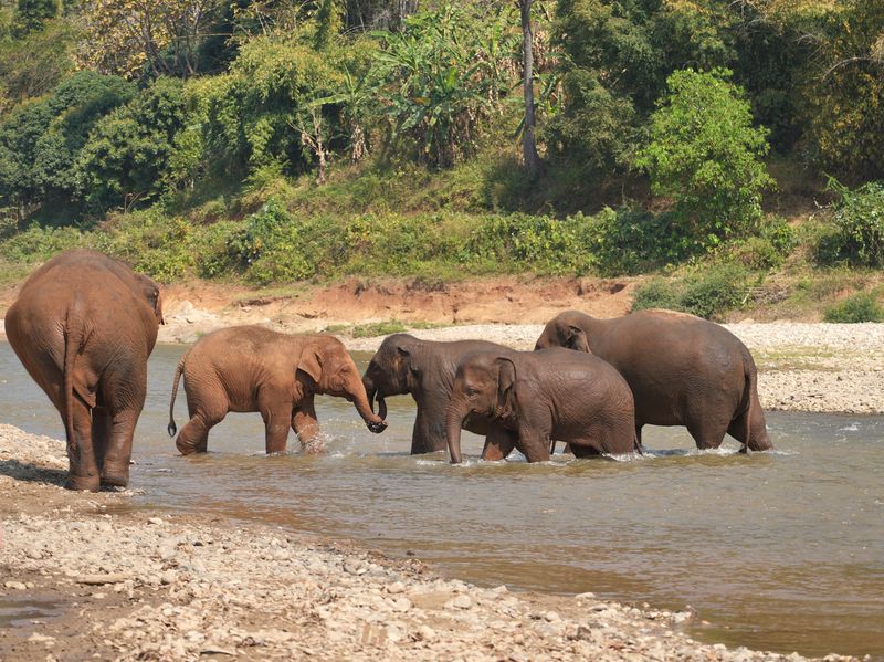 thailand-klick auf reisen