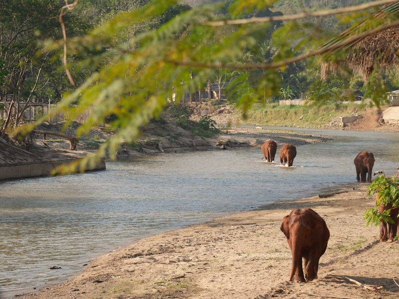 thailand-klick auf reisen