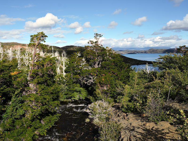 chile-patagonien