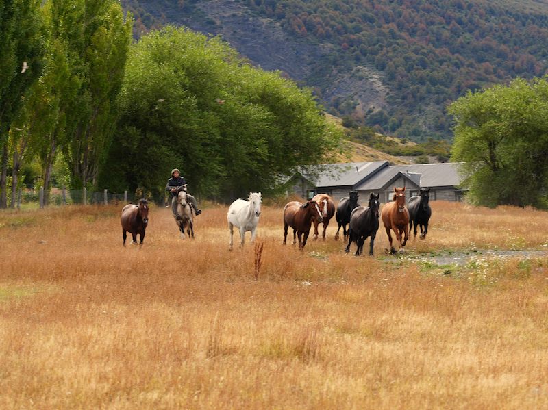 torres del paine camps chile-patagonien