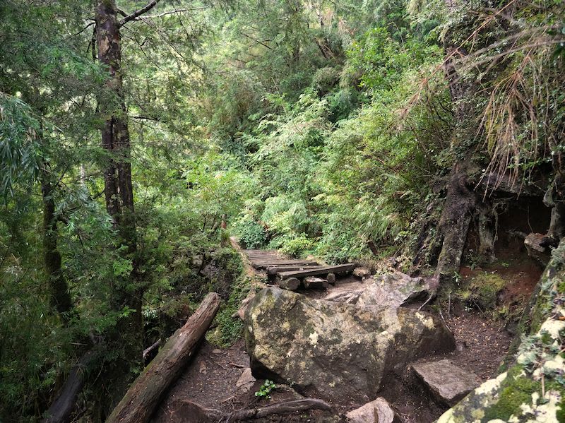 chile huerquehue nationalpark