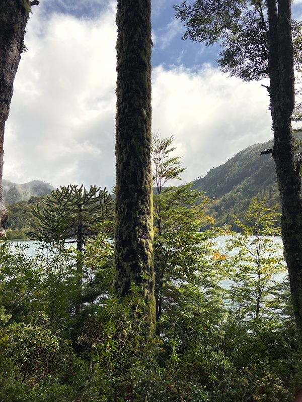 chile