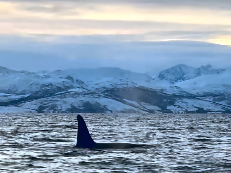 norwegen