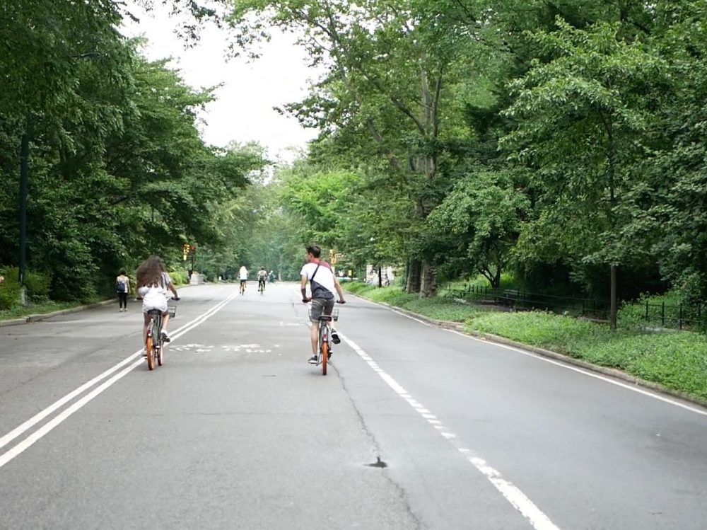 new york central park